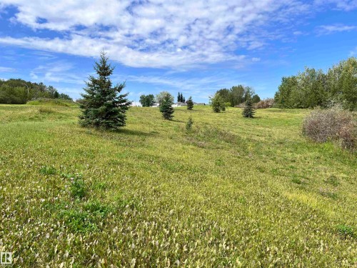 View of local wilderness with rural landscape - 3500 43 Ave, Drayton Valley, AB 