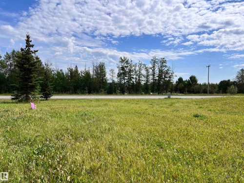 View of yard featuring a rural view - 3500 43 Ave, Drayton Valley, AB 