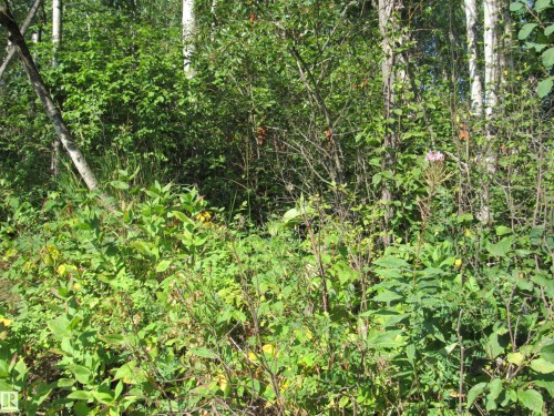 59316 Rge Rd 54 - Lot 61, Rural Barrhead County, AB 