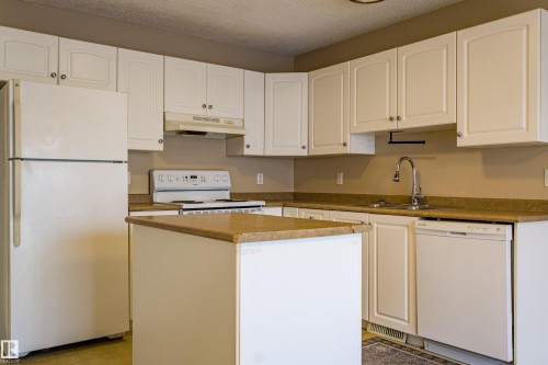 10 16777 91 Street, Edmonton, AB - Indoor Photo Showing Kitchen With Double Sink