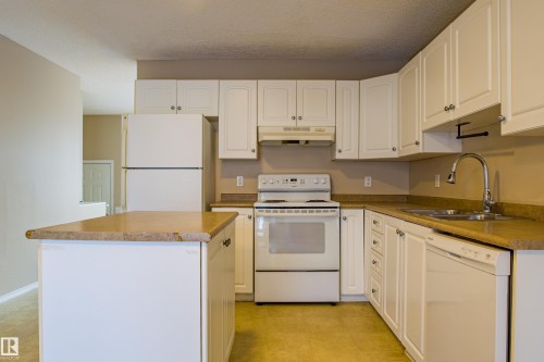 10 16777 91 Street, Edmonton, AB - Indoor Photo Showing Kitchen With Double Sink