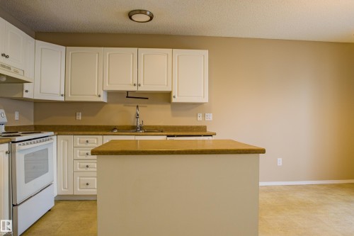 10 16777 91 Street, Edmonton, AB - Indoor Photo Showing Kitchen With Double Sink