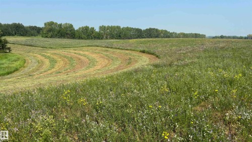 . ., Rural Two Hills County, AB 