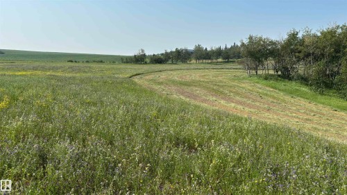 . ., Rural Two Hills County, AB 