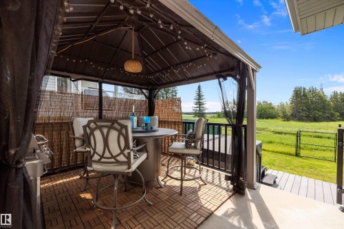 1644 Hector Road, Edmonton, AB - Outdoor With Deck Patio Veranda With Exterior