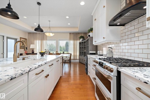 1644 Hector Road, Edmonton, AB - Indoor Photo Showing Kitchen With Upgraded Kitchen