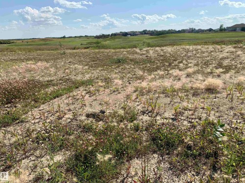 View of undeveloped land - 17 Whitetail Crescent, Mundare, AB 