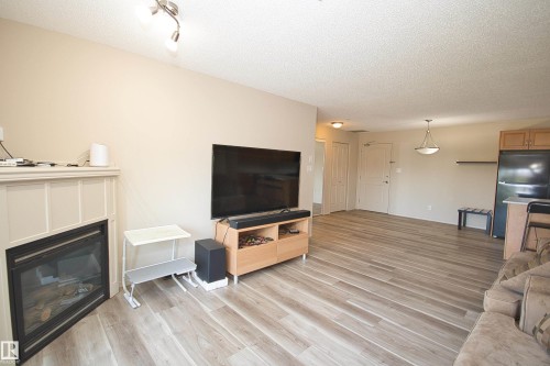 311 2098 Blackmud Creek Drive, Edmonton, AB - Indoor Photo Showing Living Room With Fireplace