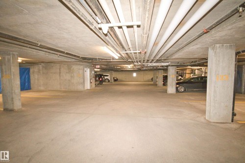 311 2098 Blackmud Creek Drive, Edmonton, AB - Indoor Photo Showing Garage