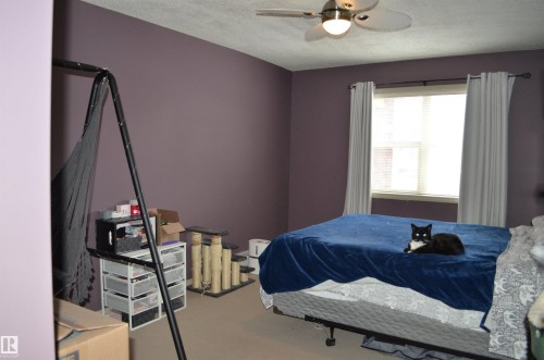 111 11445 Ellerslie Road, Edmonton, AB - Indoor Photo Showing Bedroom