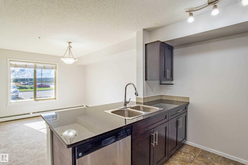 108 5810 Mullen Place, Edmonton, AB - Indoor Photo Showing Kitchen With Double Sink