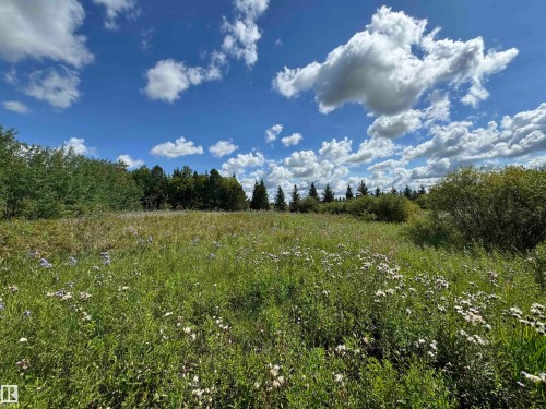 90 50205 Rge Road 232, Rural Leduc County, AB - Outdoor With View