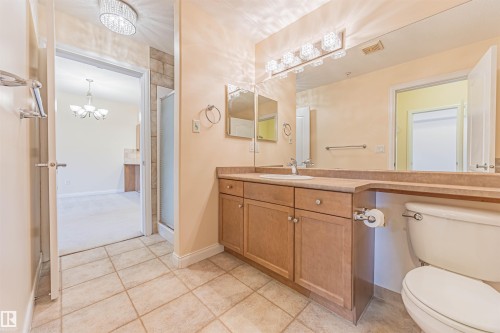 110 1406 Hodgson Way, Edmonton, AB - Indoor Photo Showing Bathroom