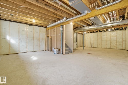 9102 Elves Loop Nw, Edmonton, AB - Indoor Photo Showing Basement