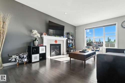 3875 Agar Green, Edmonton, AB - Indoor Photo Showing Living Room With Fireplace