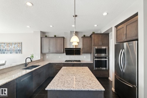 3875 Agar Green, Edmonton, AB - Indoor Photo Showing Kitchen With Double Sink With Upgraded Kitchen