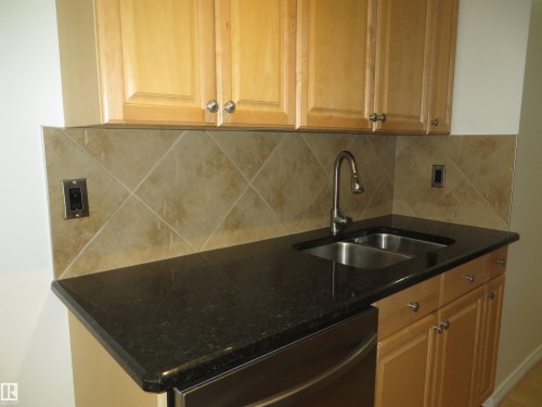 102 10547 83 Avenue, Edmonton, AB - Indoor Photo Showing Kitchen With Double Sink