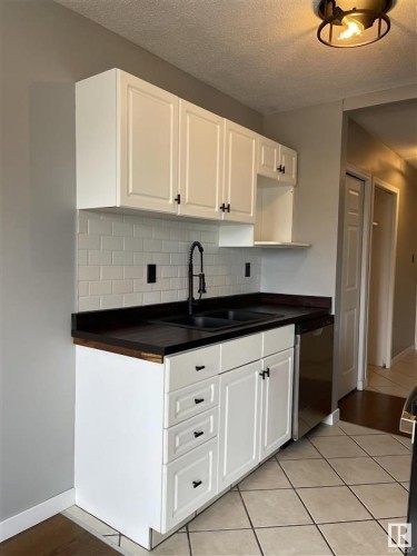 11 11219 103A Avenue, Edmonton, AB - Indoor Photo Showing Kitchen With Double Sink