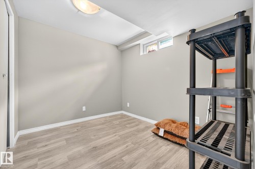 11005 162A Avenue, Edmonton, AB - Indoor Photo Showing Basement