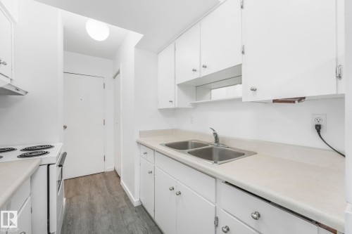 306 8310 Jasper Avenue, Edmonton, AB - Indoor Photo Showing Kitchen With Double Sink
