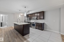 Kitchen with appliances with stainless steel finishes, dark brown cabinetry, a kitchen island with sink, pendant lighting, and light wood-type flooring - 