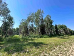 Lot 3 Forest Road (RR 214)  Rural Athabasca County, AB T9S 1C4