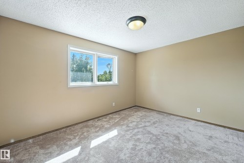 16815 41 Avenue, Edmonton, AB - Indoor Photo Showing Other Room