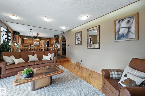 16815 41 Avenue, Edmonton, AB - Indoor Photo Showing Living Room