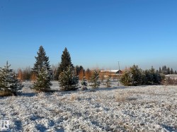 206 23229 SH 651  Rural Sturgeon County, AB T0A 1N6