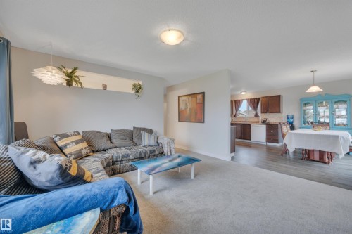 1035 55 Street, Edmonton, AB - Indoor Photo Showing Living Room