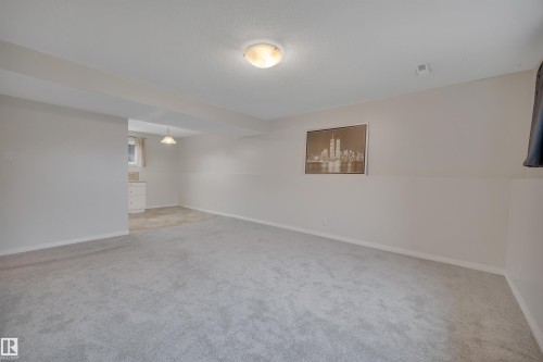1035 55 Street, Edmonton, AB - Indoor Photo Showing Other Room
