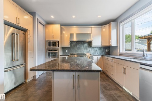 9533 101 Street, Edmonton, AB - Indoor Photo Showing Kitchen With Upgraded Kitchen