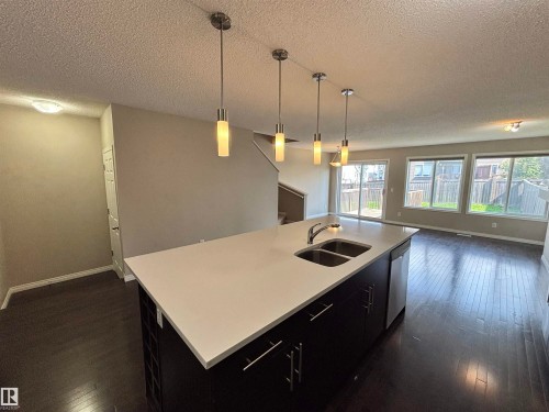 2317 76 Street, Edmonton, AB - Indoor Photo Showing Kitchen With Double Sink