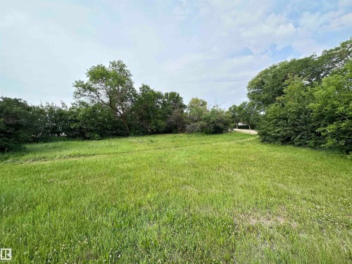View of yard with view of wooded area and a rural view - 9819 105 Street, Westlock, AB 