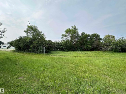 View of yard featuring view of wooded area - 9819 105 Street, Westlock, AB 