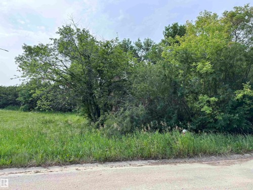 View of nature - 9819 105 Street, Westlock, AB 