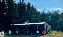 View of outbuilding featuring a forest view - 