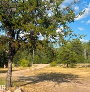 View of yard featuring a view of trees - 