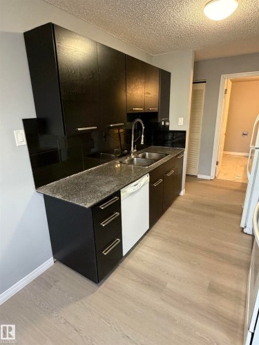 202 10740 105 Street, Edmonton, AB - Indoor Photo Showing Kitchen With Double Sink