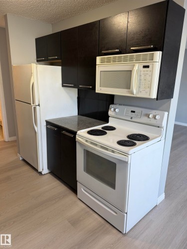 202 10740 105 Street, Edmonton, AB - Indoor Photo Showing Kitchen