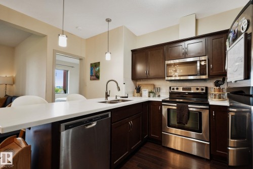 316 304 Ambleside Link, Edmonton, AB - Indoor Photo Showing Kitchen With Double Sink