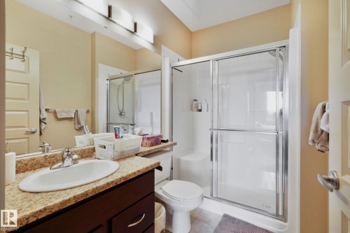316 304 Ambleside Link, Edmonton, AB - Indoor Photo Showing Bathroom
