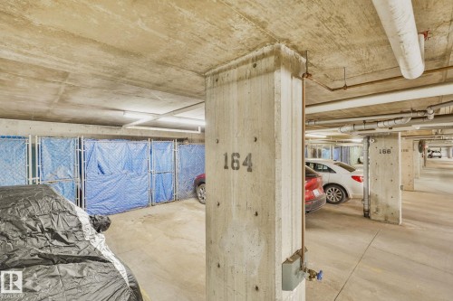 316 304 Ambleside Link, Edmonton, AB - Indoor Photo Showing Garage