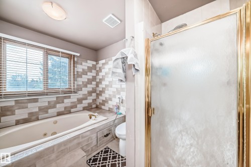 1068 James Crescent, Edmonton, AB - Indoor Photo Showing Bathroom