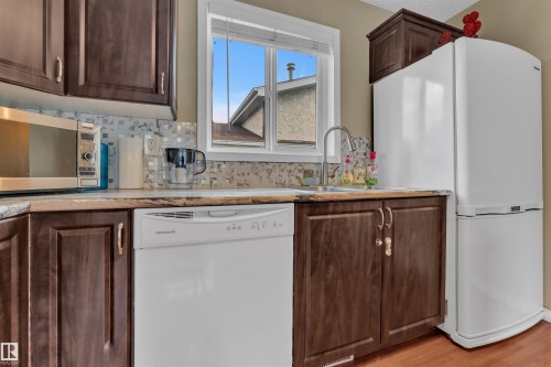 18615 75 Avenue, Edmonton, AB - Indoor Photo Showing Kitchen With Double Sink