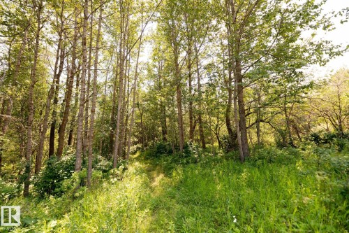 23246 Twp  Rd 521A, Rural Strathcona County, AB 