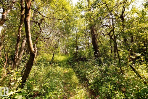 23246 Twp  Rd 521A, Rural Strathcona County, AB 