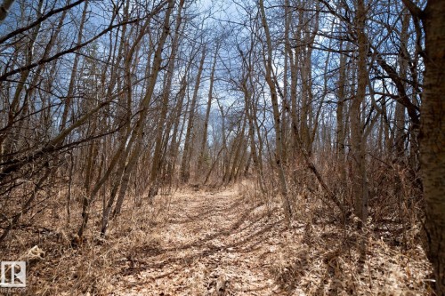 23246 Twp  Rd 521A, Rural Strathcona County, AB 