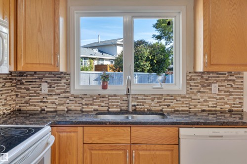 6720 20 Avenue, Edmonton, AB - Indoor Photo Showing Kitchen With Double Sink