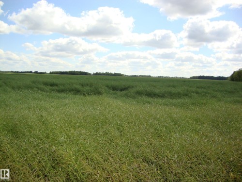 Rr224 Twp610, Rural Thorhild County, AB 